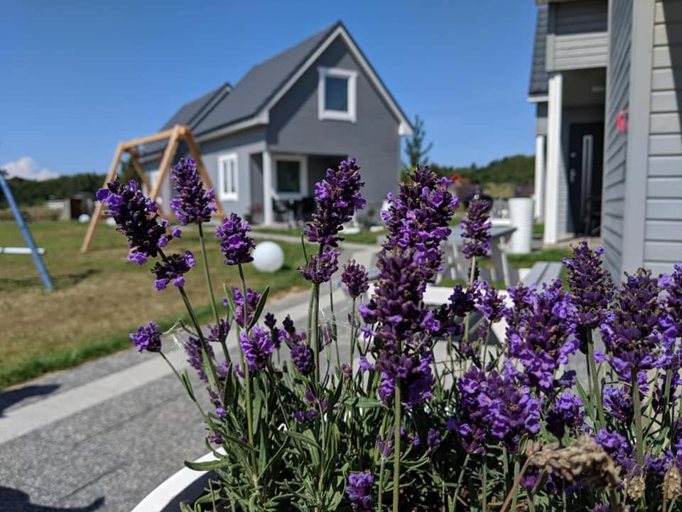 Morskie Opowiesci Niechorze Eksteriør bilde